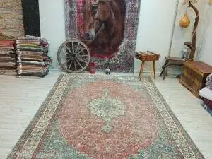 Yün & Pamuk El Dokuma Halı 229x346 cm 10840